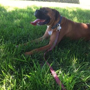 Meet your Posher, Sophia